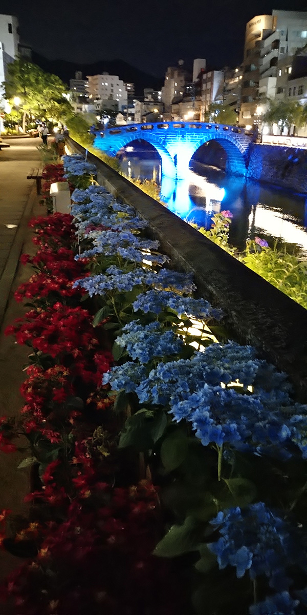 眼鏡橋沿いのあじさい
