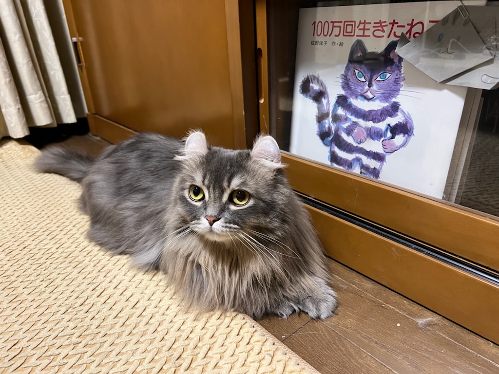 君の名は