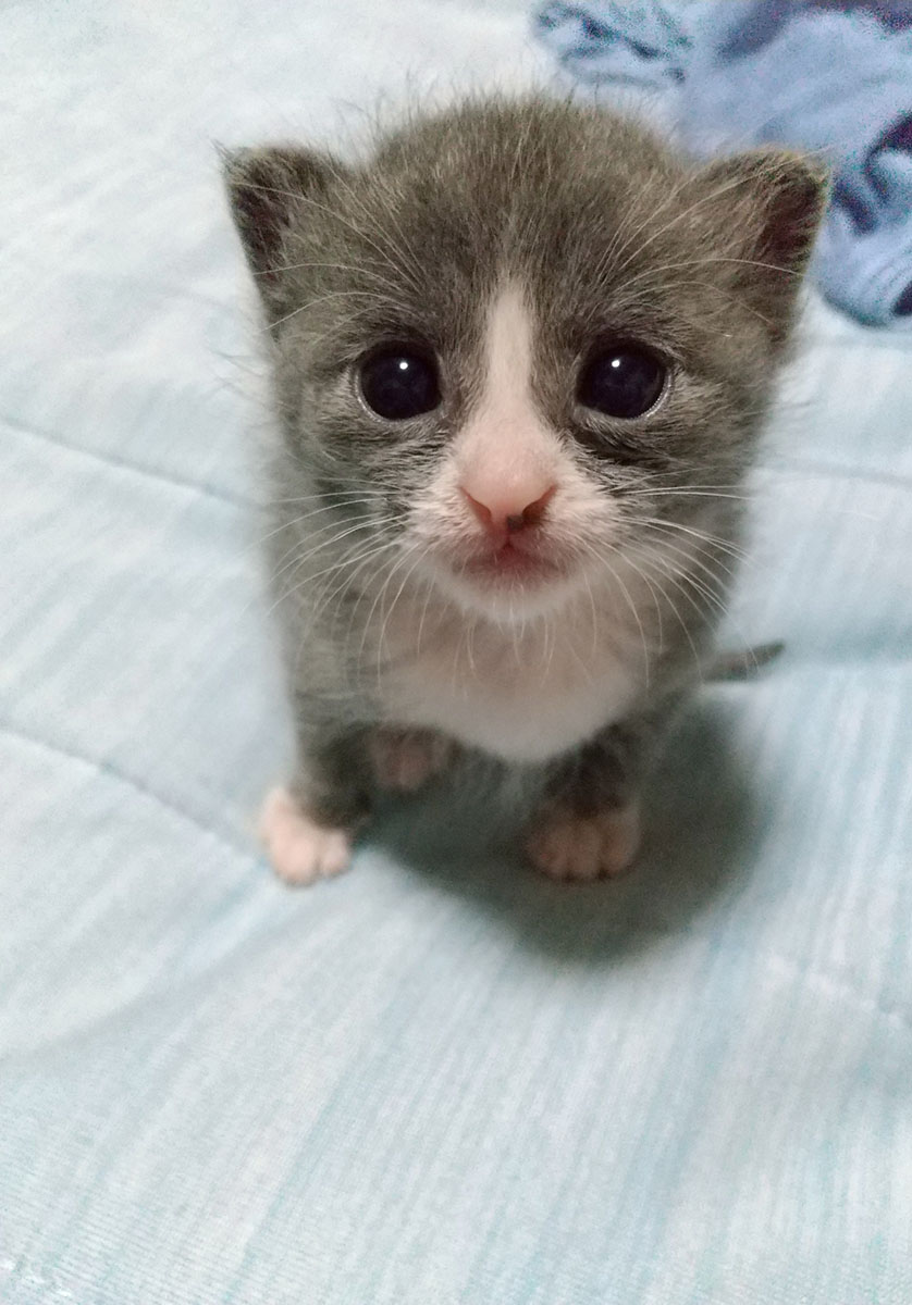 また保護しました