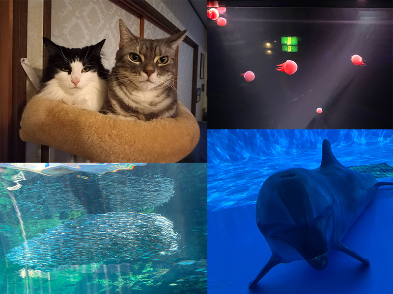 水族館