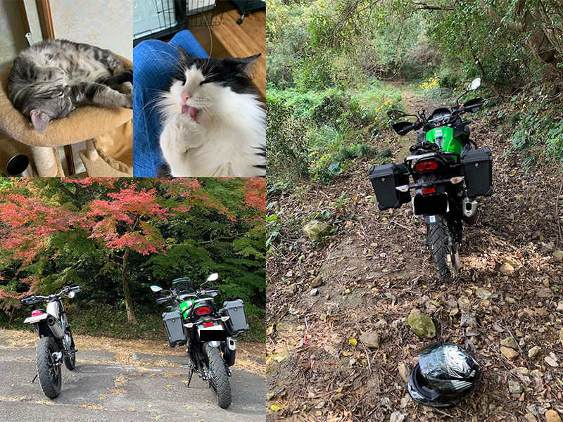 未舗装路ツーリング