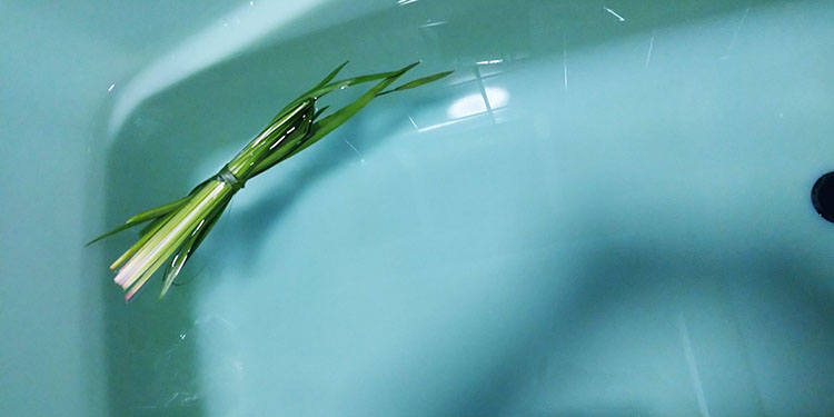 菖蒲湯