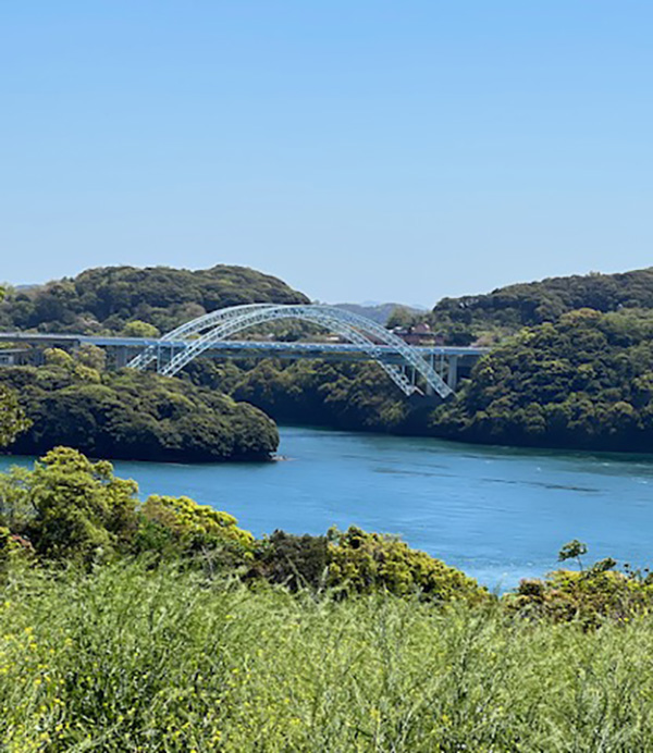 気晴らしへA