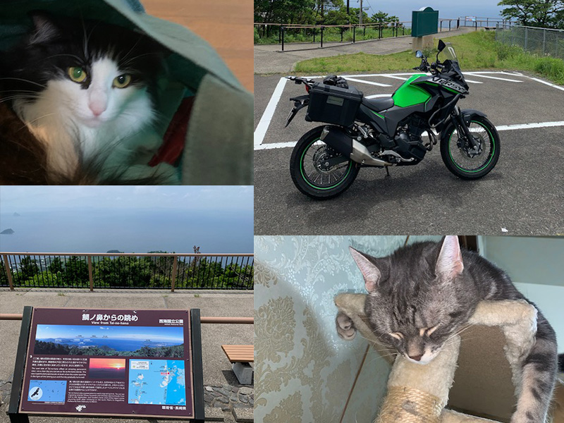 鯛の鼻自然公園