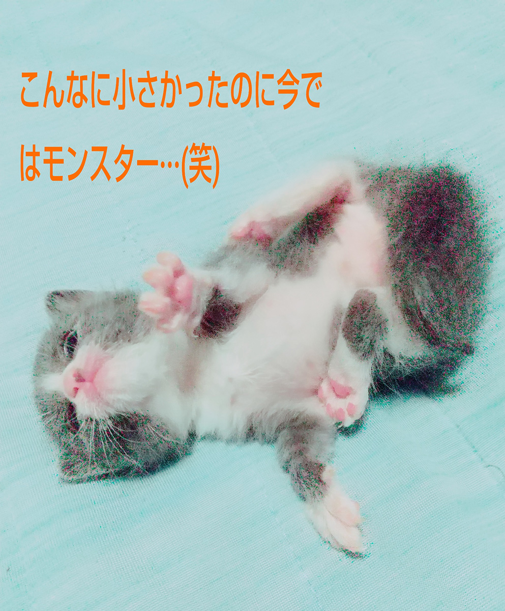 掘り下げたがりの女