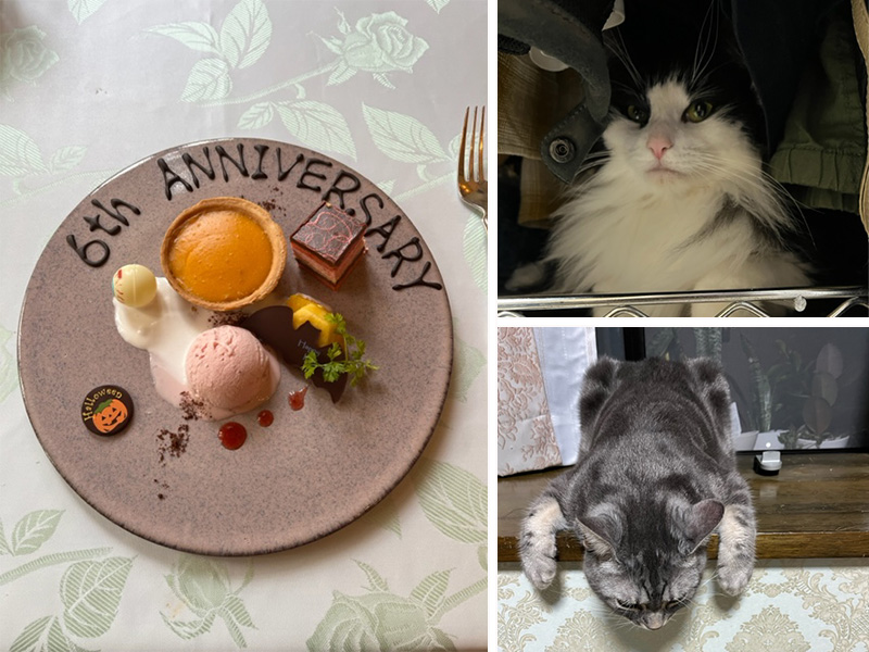 結婚記念日