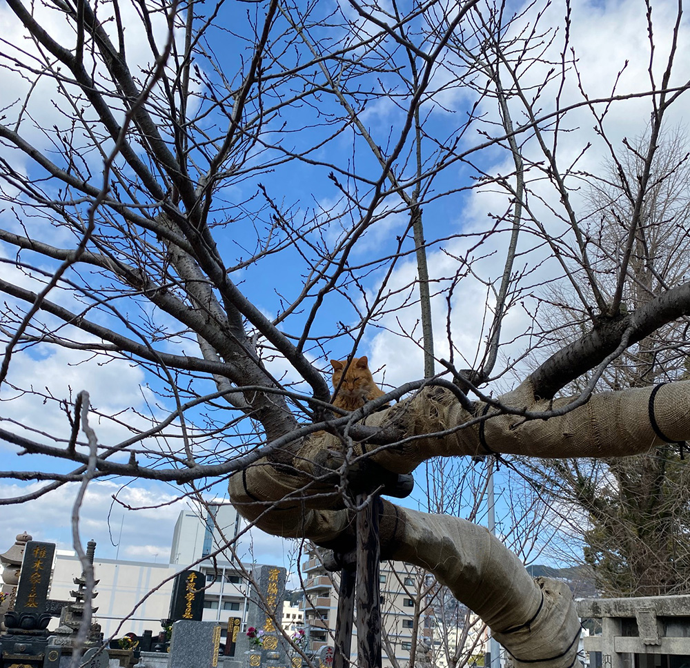 視線の先に