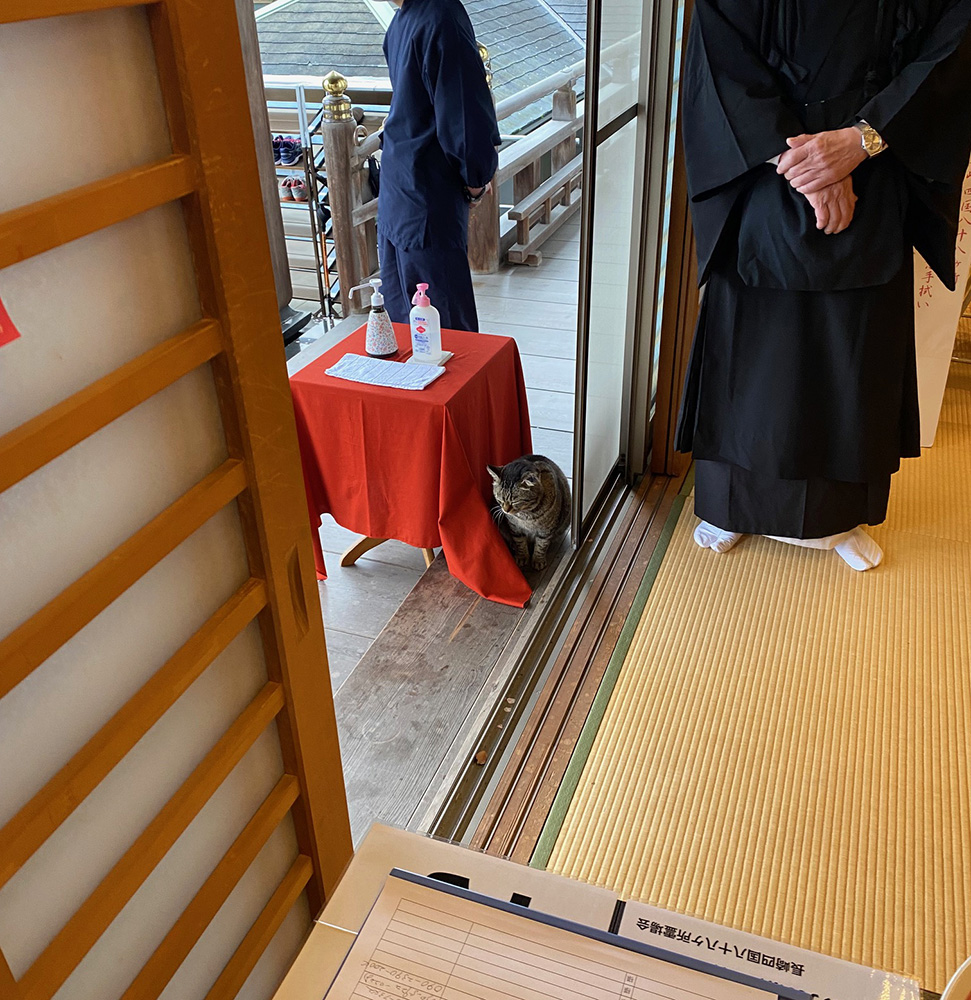 春のお巡り