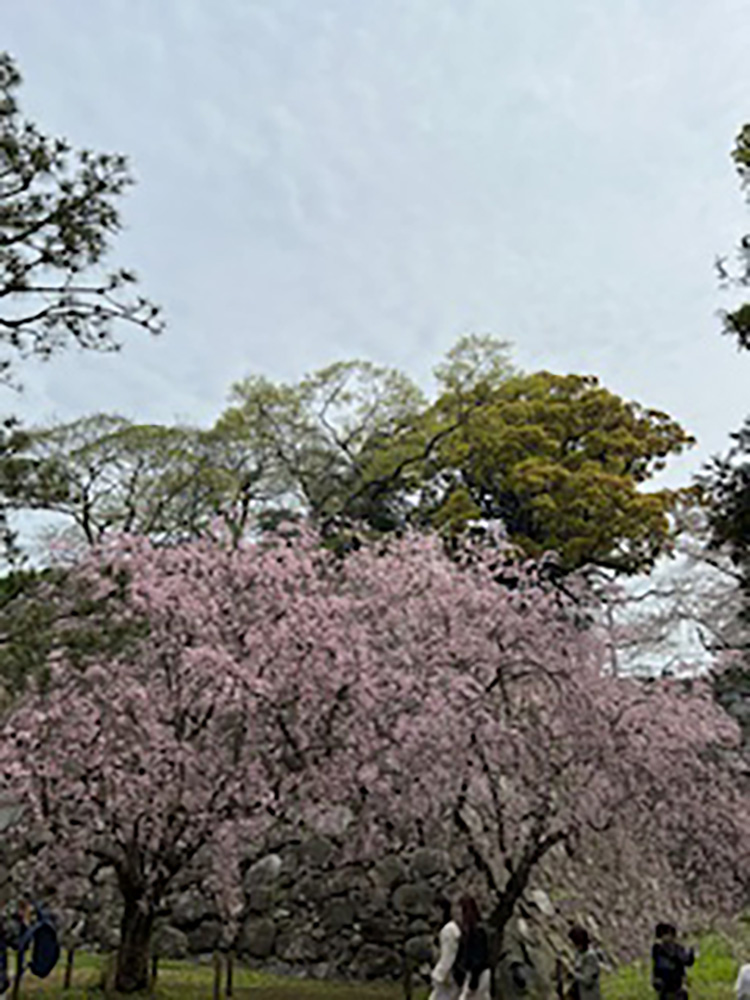 今年も行ってきました!!