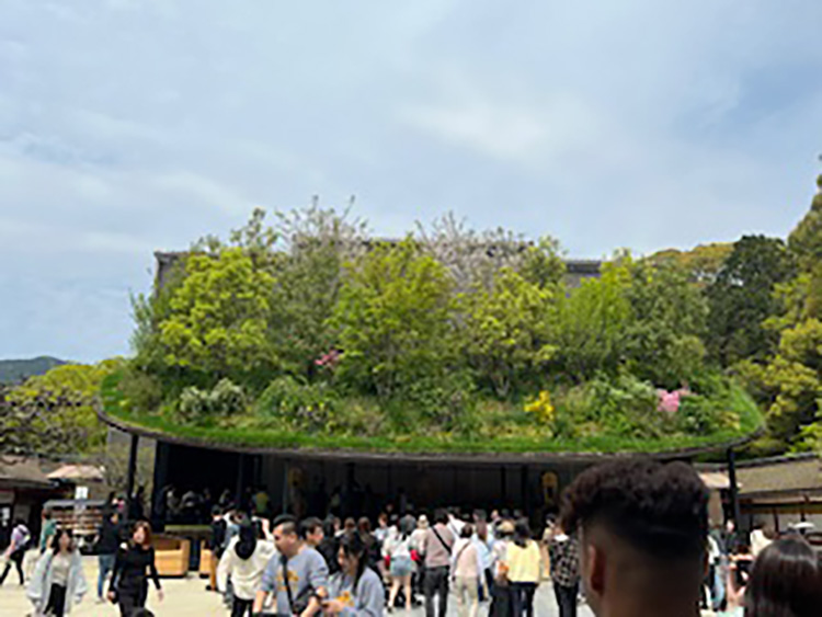 太宰府天満宮へ