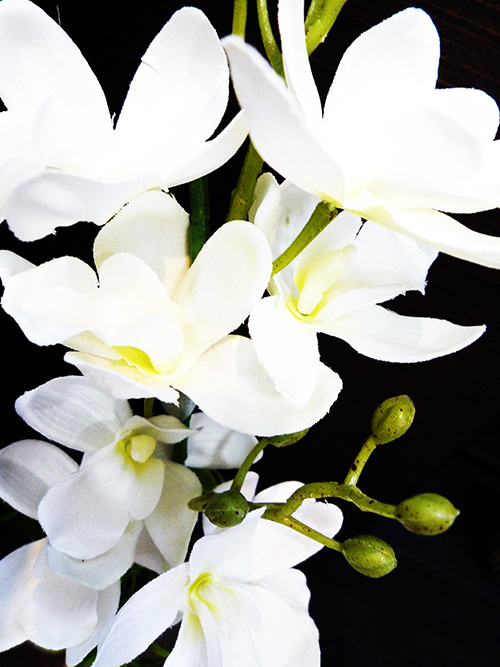 @N̉Ắc