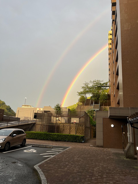 @🌈