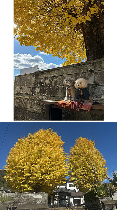 @ĂA