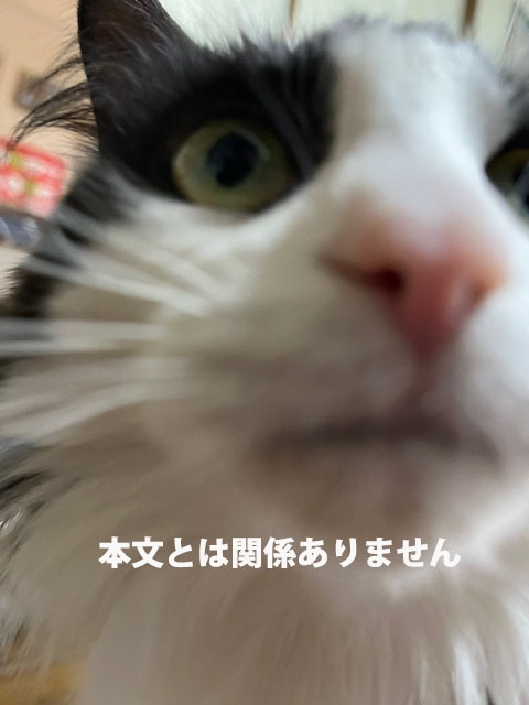 @oXʋ