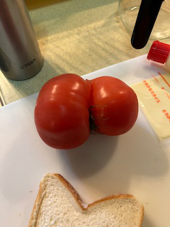 @g}g🍅