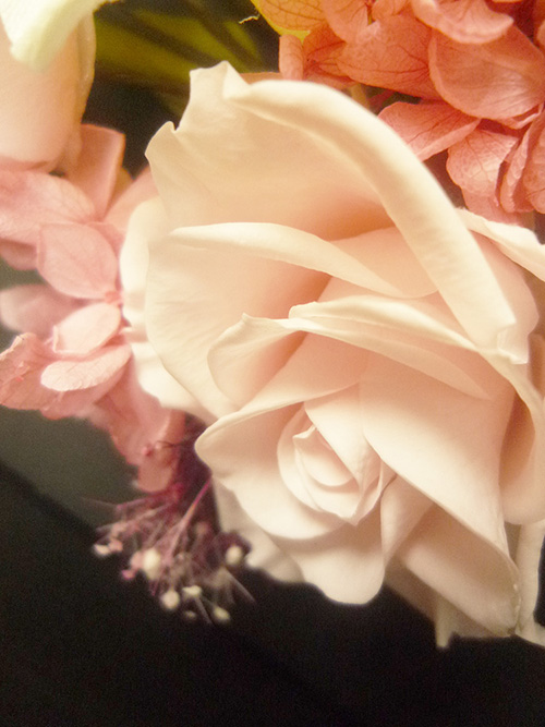 @ڎw˂΂Ȃ܂
