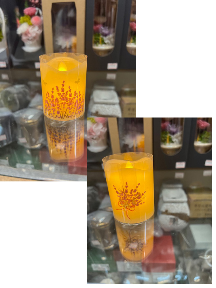 ニューフェイス登場