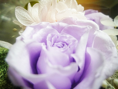 もってのほか!!