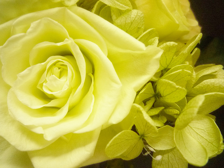 ここ最近で驚いたこと