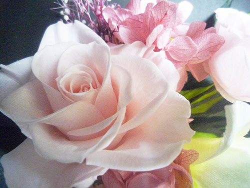 いざという時のために。