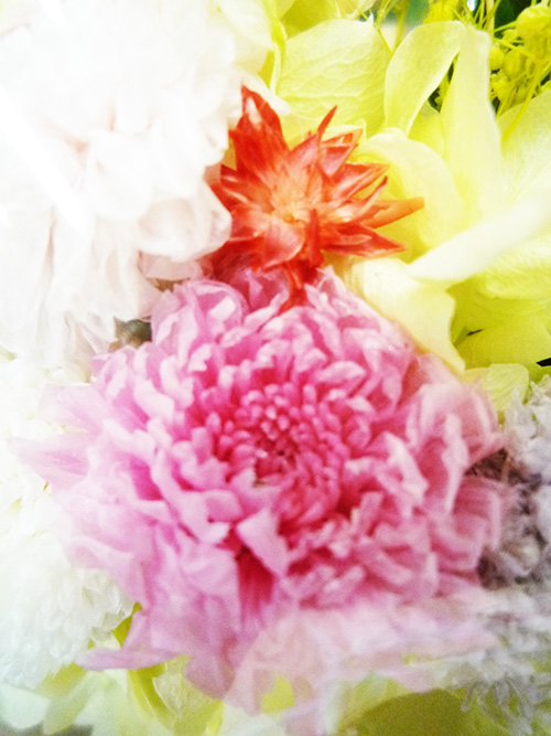 �z�����Ă��~�O�܂ŏ���܂����B