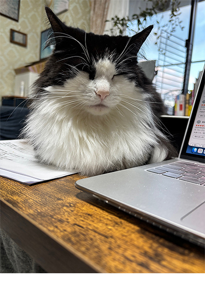 �L���邠��S