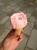 @``ACX̘bB