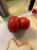 @g}g🍅